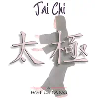 Meditation ( Second Level) — Wei Li Yang