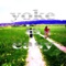 Yoke Is Easy (DJ Forty5 Electro Breaks Mix) - Icey Wink lyrics