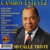 Camboy Estevez - Unión Eterna