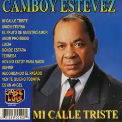 Mi Calle Triste - Camboy Estevez Mi Calle Triste - Camboy Estevez