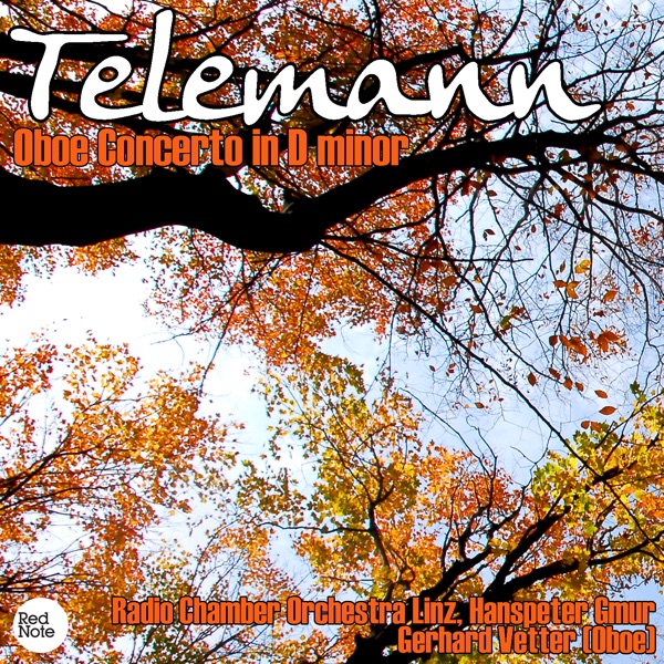 Cover of Telemann: Oboe Concerto in D minor