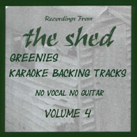 Karaoke Backing Tracks, Vol. 4 - Paul Green