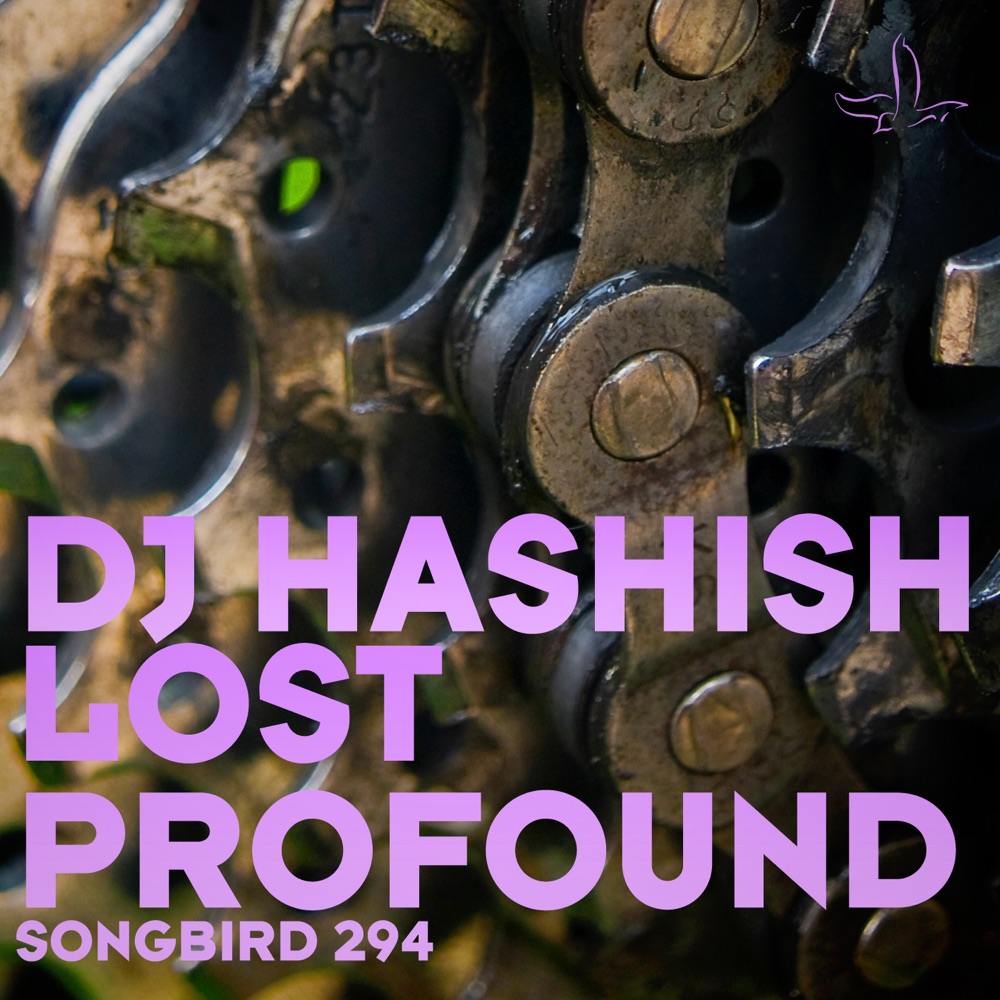 Обложка альбома «Lost / Profound - Single» — DJ Hashish