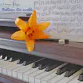 Fantasía