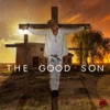 The Good Son, 2012