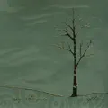 May You Never
