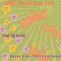 Feeling Good (Freedom Is Mine) [Tribute to Nina Simone] - Single - Kiril Valeri & Edit