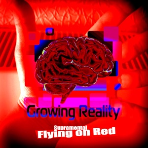 Flying On Reds - Single