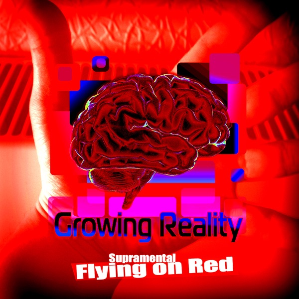 Flying On Reds - Single