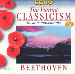 The Vienna Classicism In Slow Moments Vol. 3.