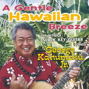 A Gentle Hawaiian Breeze ~The Best of Slack Key Guitar Songs~