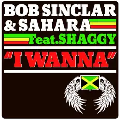 I Wanna (feat. Shaggy) - Bob Sinclar