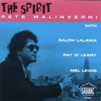 The Spirit - Pete Malinverni