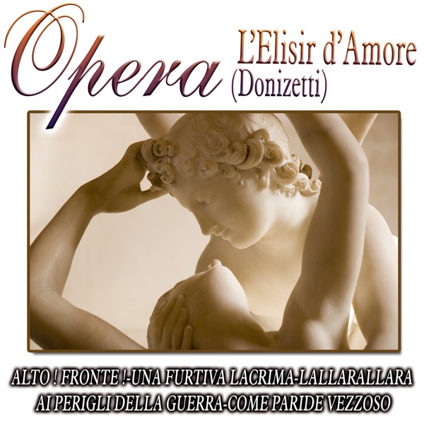 Opera - L'Elisir D'Amore artwork
