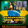 Percussions from Brazil - Percussioney