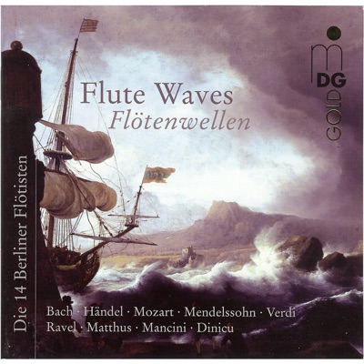 Flute Waves
