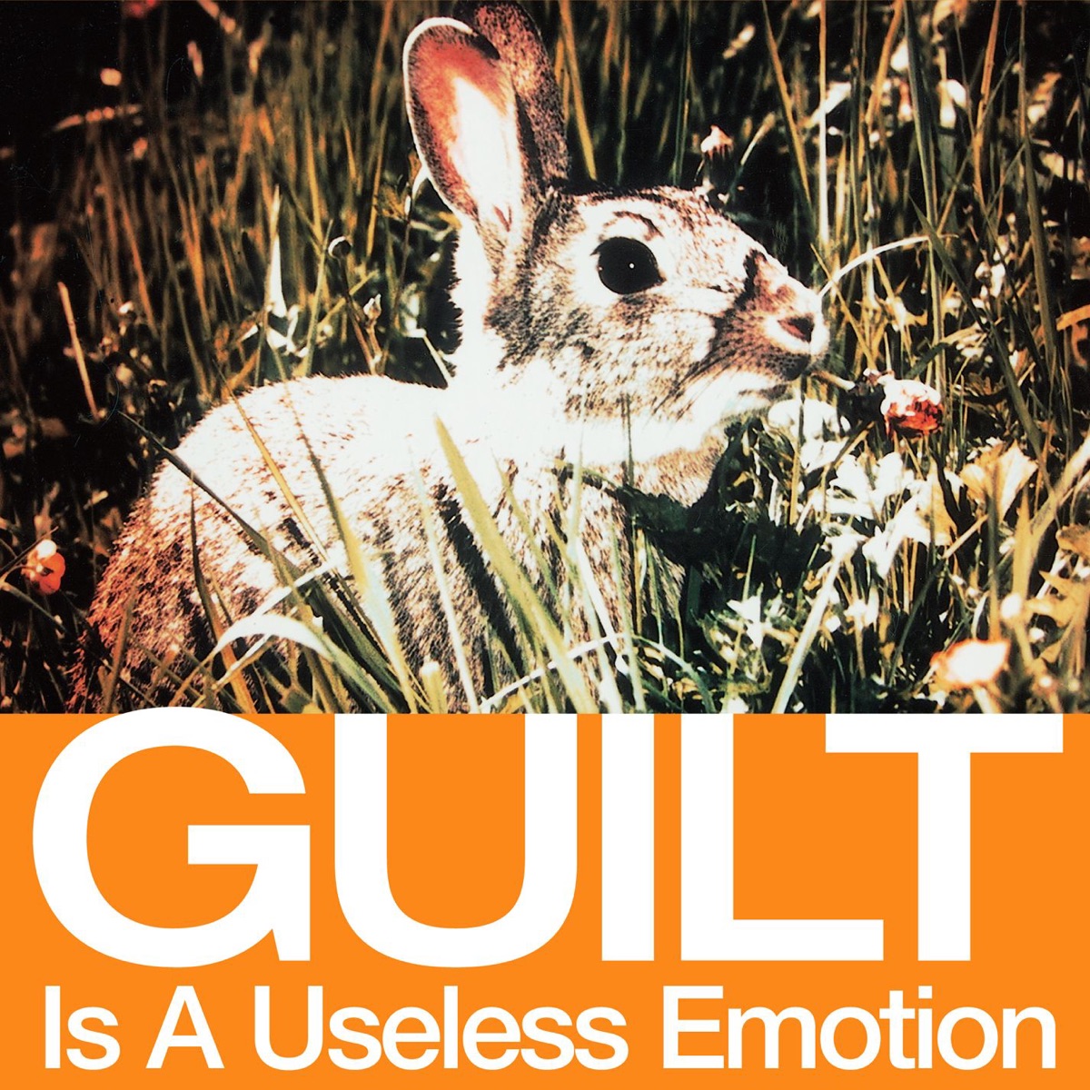 Guilt Is a Useless Emotion - EP cover art