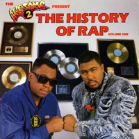 The Awesome 2 Present: The History Of Rap - Verschiedene Interpret:innen