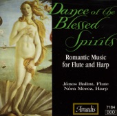 Romantic Music for Flute And Harp artwork