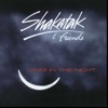 Jazz In the Night - Shakatak & Friends