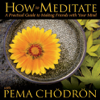 How to Meditate with Pema Chodron - Pema Chödrön