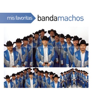 Mis Favoritas: Banda Machos