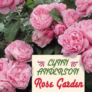 Rose Garden (Re-Recorded Version)