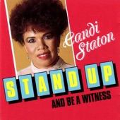 Stand Up and Be a Witness artwork