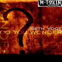 Do You Wonder - Seth Vogt