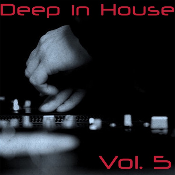 Deep in House, Vol. 5