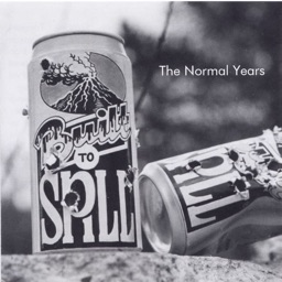The Normal Years by Built to Spill