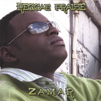 Zamar - There Is No Mountain