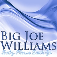 Baby Please Don't Go - Big Joe Williams