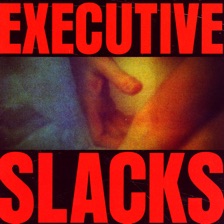 Fire and Ice by Executive Slacks — cover art