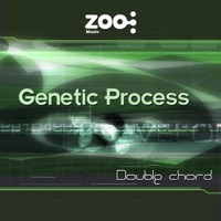 Double Chord - Single