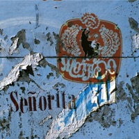 Senorita - EP - Mojado