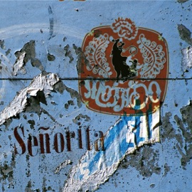 Senorita (Mr Sam Vision) Mojado