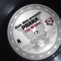 The Dream - Deep Dish presents Prana