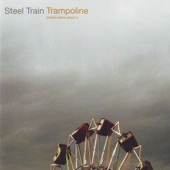 Steel Train - I Feel Weird