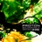 Fingerpaint (Opencloud's Welcome Back to Earth Remix)