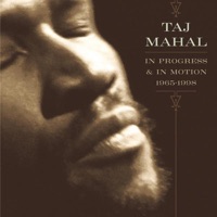 In Progress & In Motion (1965-1998) - Taj Mahal