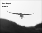 Tom Songs - Press Play on Tape