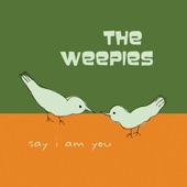 The Weepies - Stars