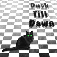 Dusk Till Dawn by Nightwatch & Moondance on Apple Music
