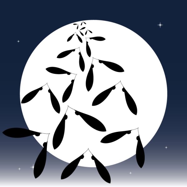 TSUKI