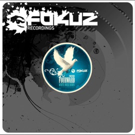 White Noise Down Fourward & N.Phect