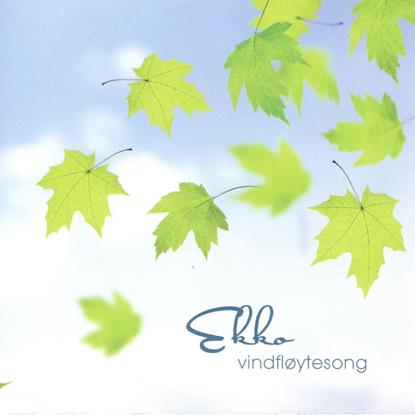 Vindfløytesong