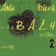 The Bach Project Vol 2