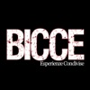 Bicce - Il Silenzio del Rumore