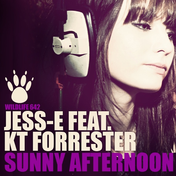 Sunny Afternoon (feat. KT Forrester) - Single